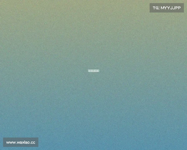 老年人长跑比赛